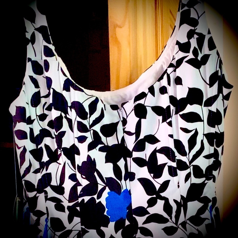 NEW Stunning NINE WEST Blue Floral Size 8P Stretch Cotton Fit & Flare Dress
